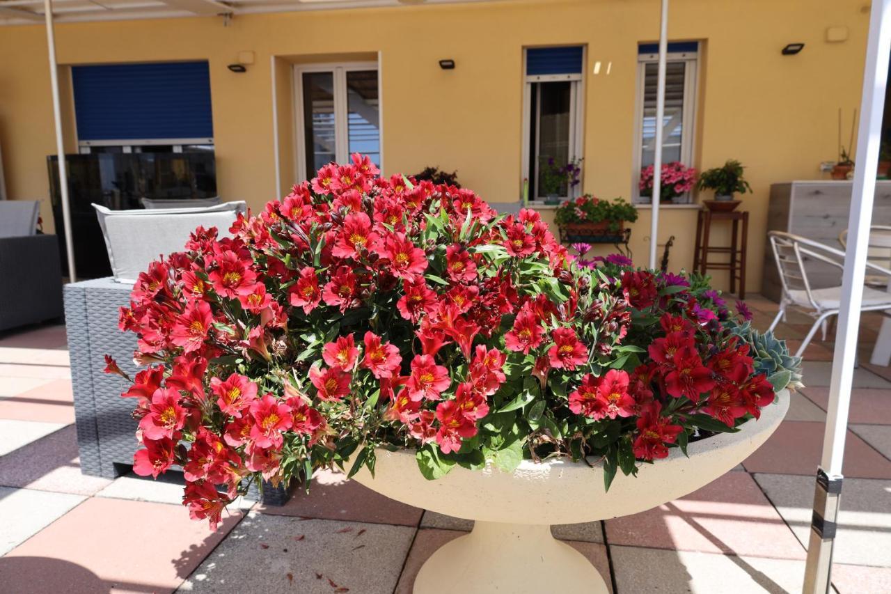 Albergo Stella Di Mare ラヴァーニャ エクステリア 写真