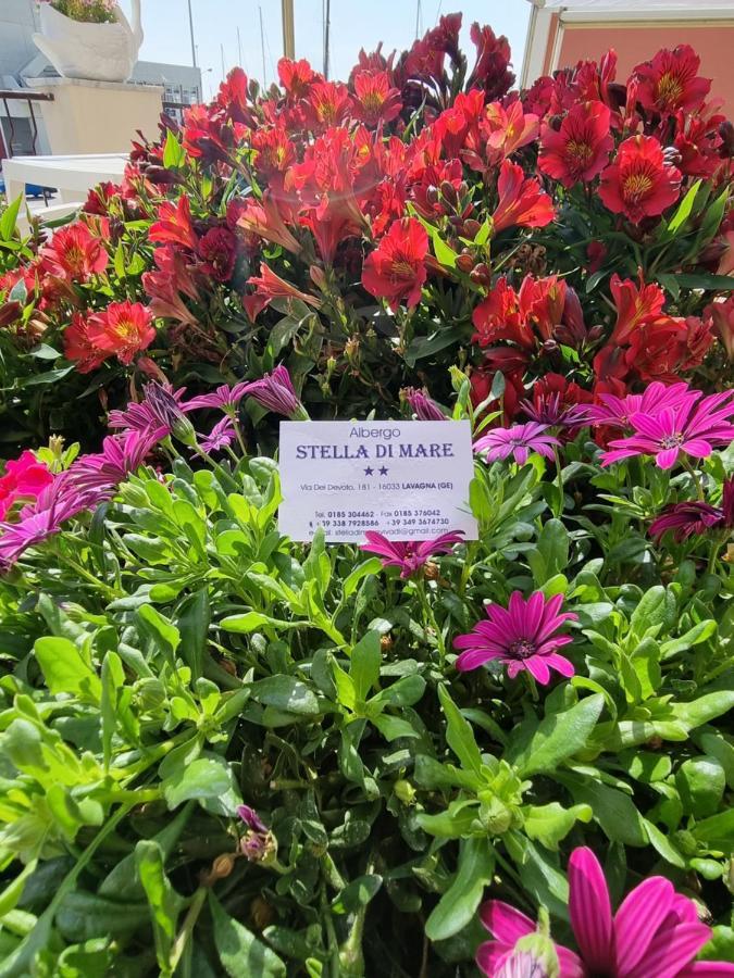 Albergo Stella Di Mare ラヴァーニャ エクステリア 写真